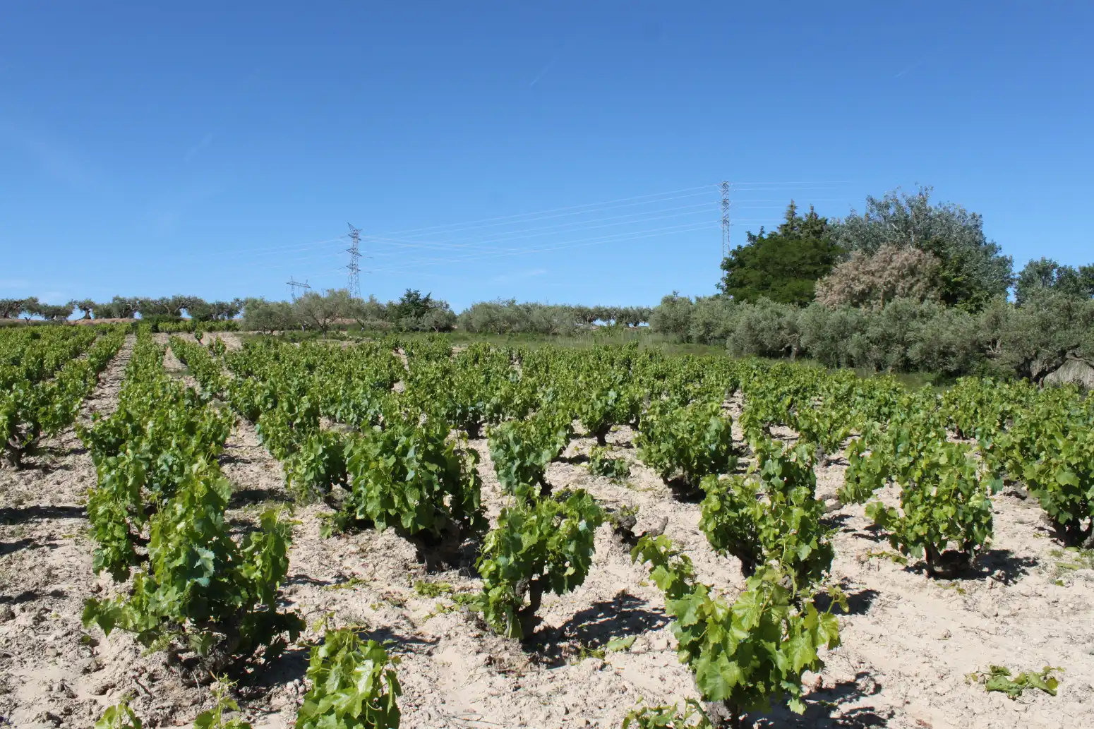 Terreno en venta en Tafalla