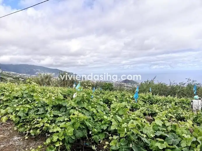 Finca rústica en venda en La Orotava amb Parquet, Terrassa i Traster