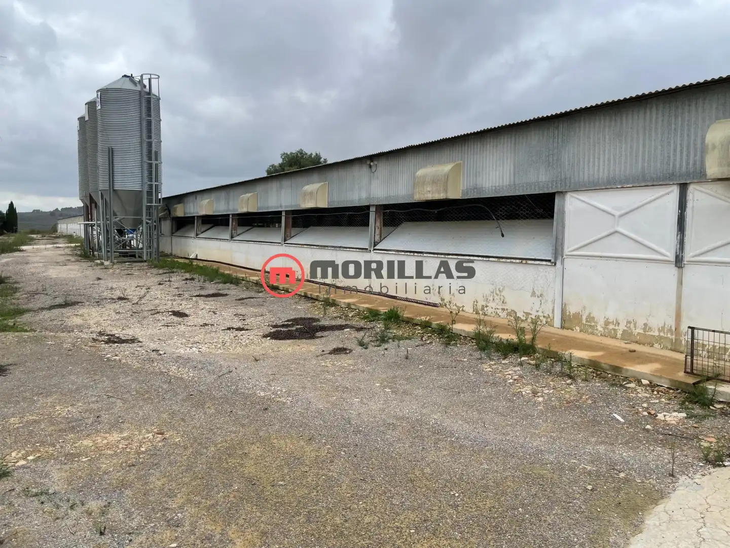 Chalet con jardín en venta en Bullas, imagen 23