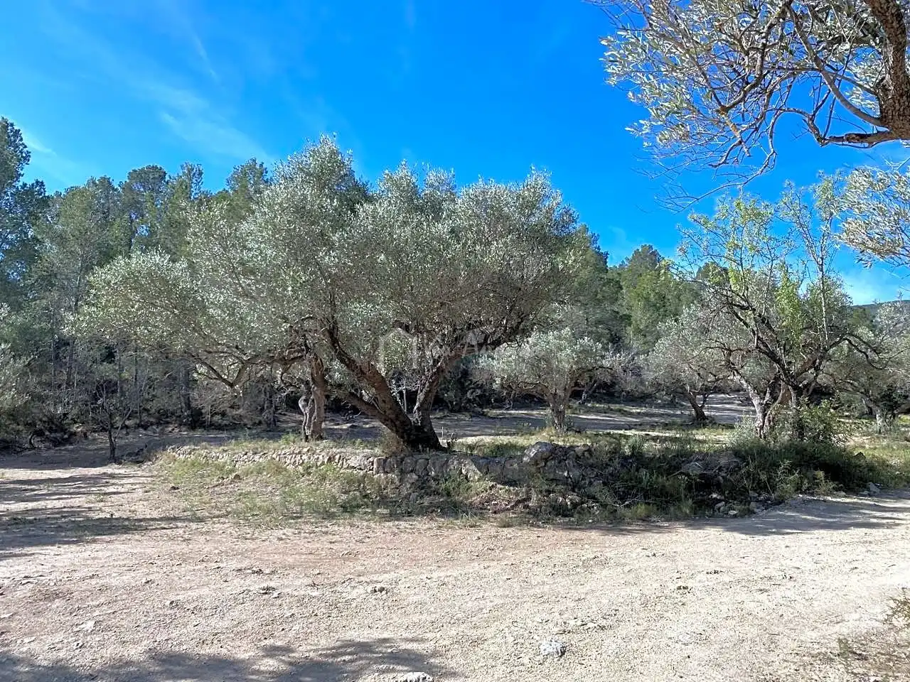 Terrain rustique à vendre à La Baixada, imagen 9