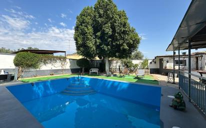 Swimming pool of Country house for sale in Utrera