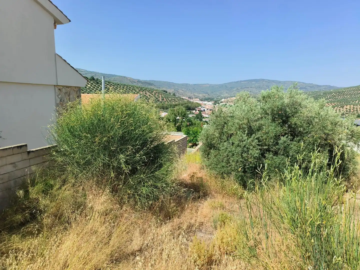 Terreni e lotti in vendita a Los Villares, imagen 8
