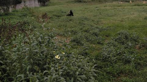 Foto 5 de Residencial en venda a Los Castros, Cantabria