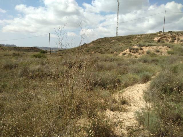 Terreno en Venta en Fontcalent