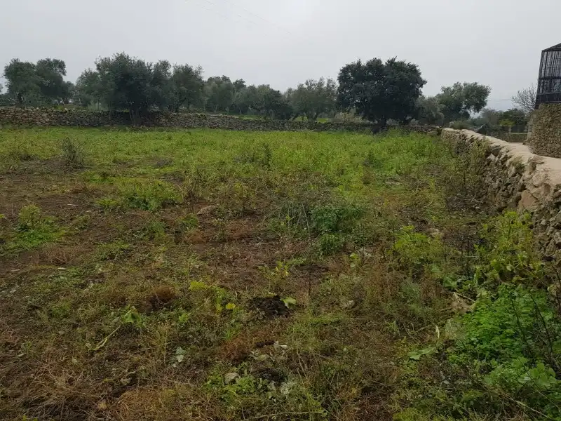 Terreni e lotti in vendita a Oliva de Plasencia, imagen 5