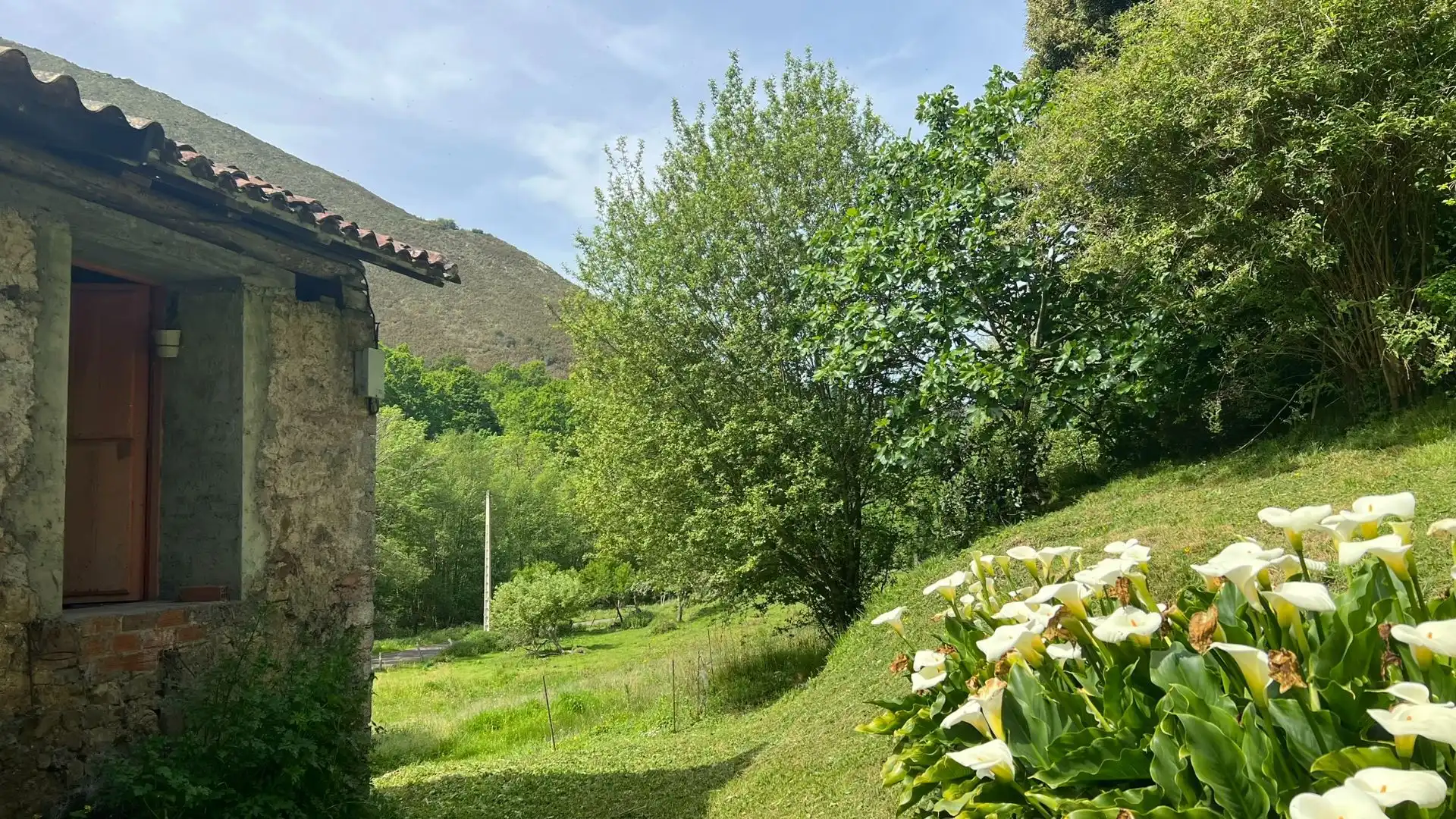 Jardí de Casa o xalet en venda en Cangas de Onís amb Jardí privat