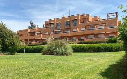 Exterior view of Attic for sale in Casares  with Terrace and Swimming Pool