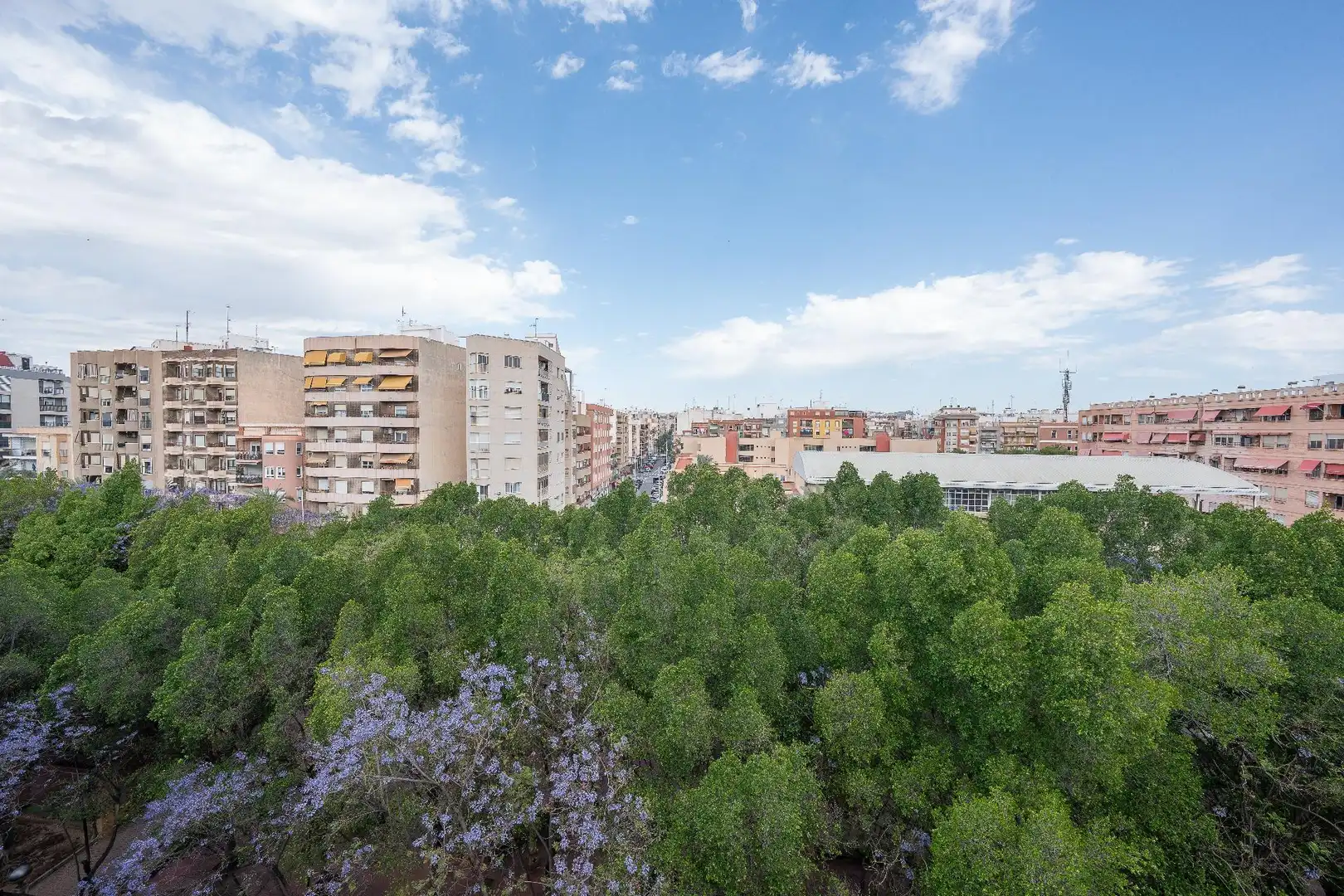 Vista exterior de Piso en venta en Elche / Elx con Aire acondicionado, Terraza y Balcón