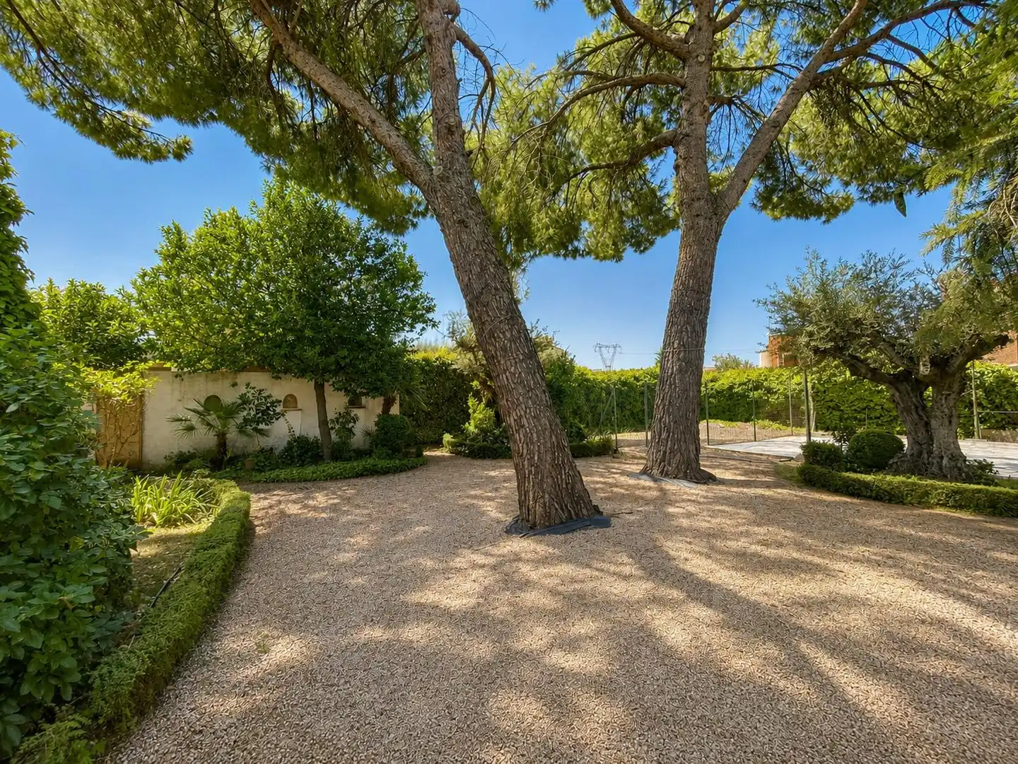 Jardí de Casa o xalet en venda en Arganda del Rey amb Jardí privat