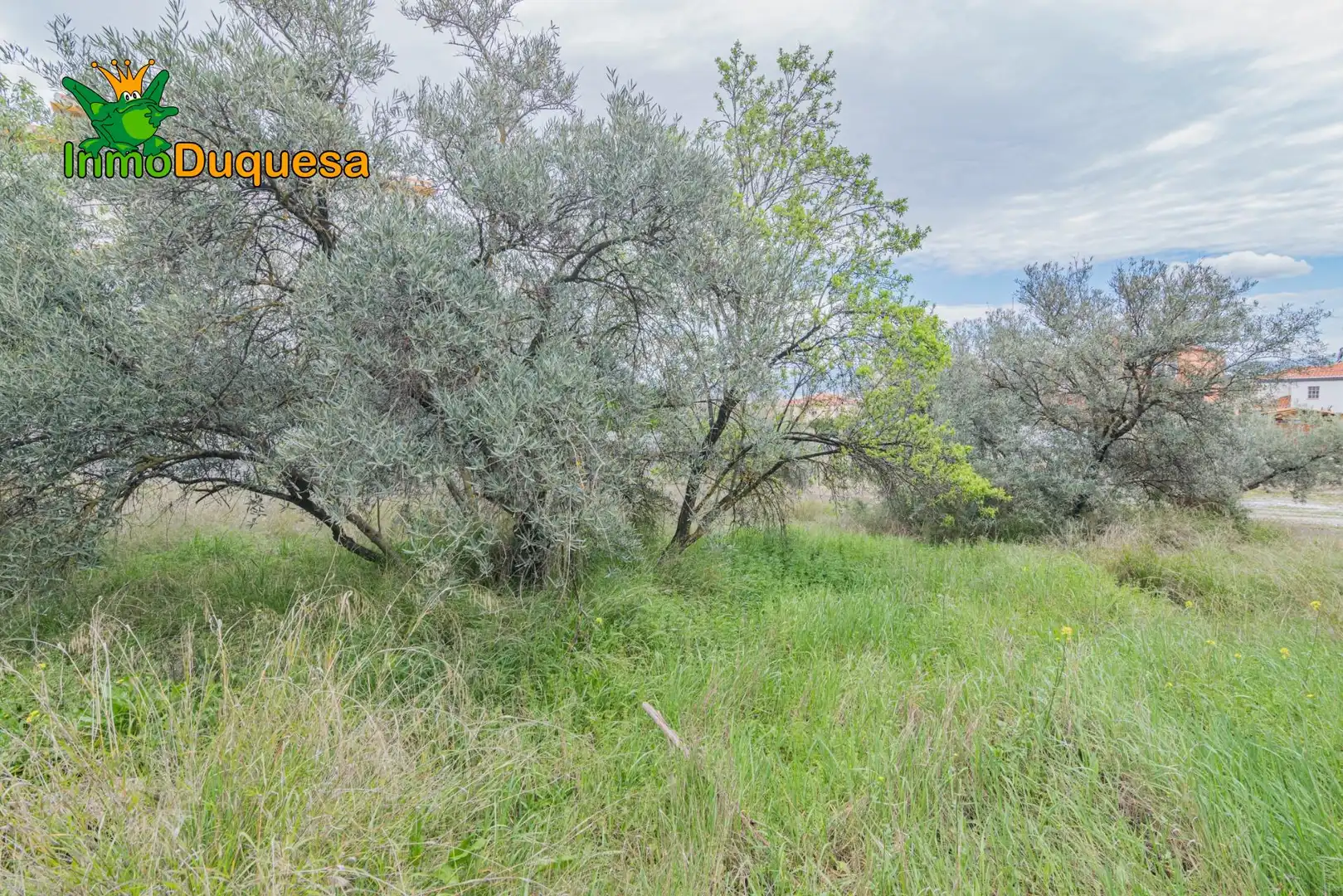 Terreni e lotti in vendita a Cúllar Vega, imagen 19