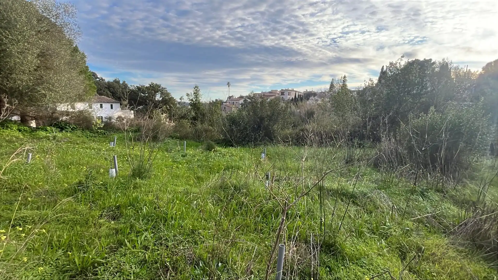 Terreny residencial en venda a Puigpunyent