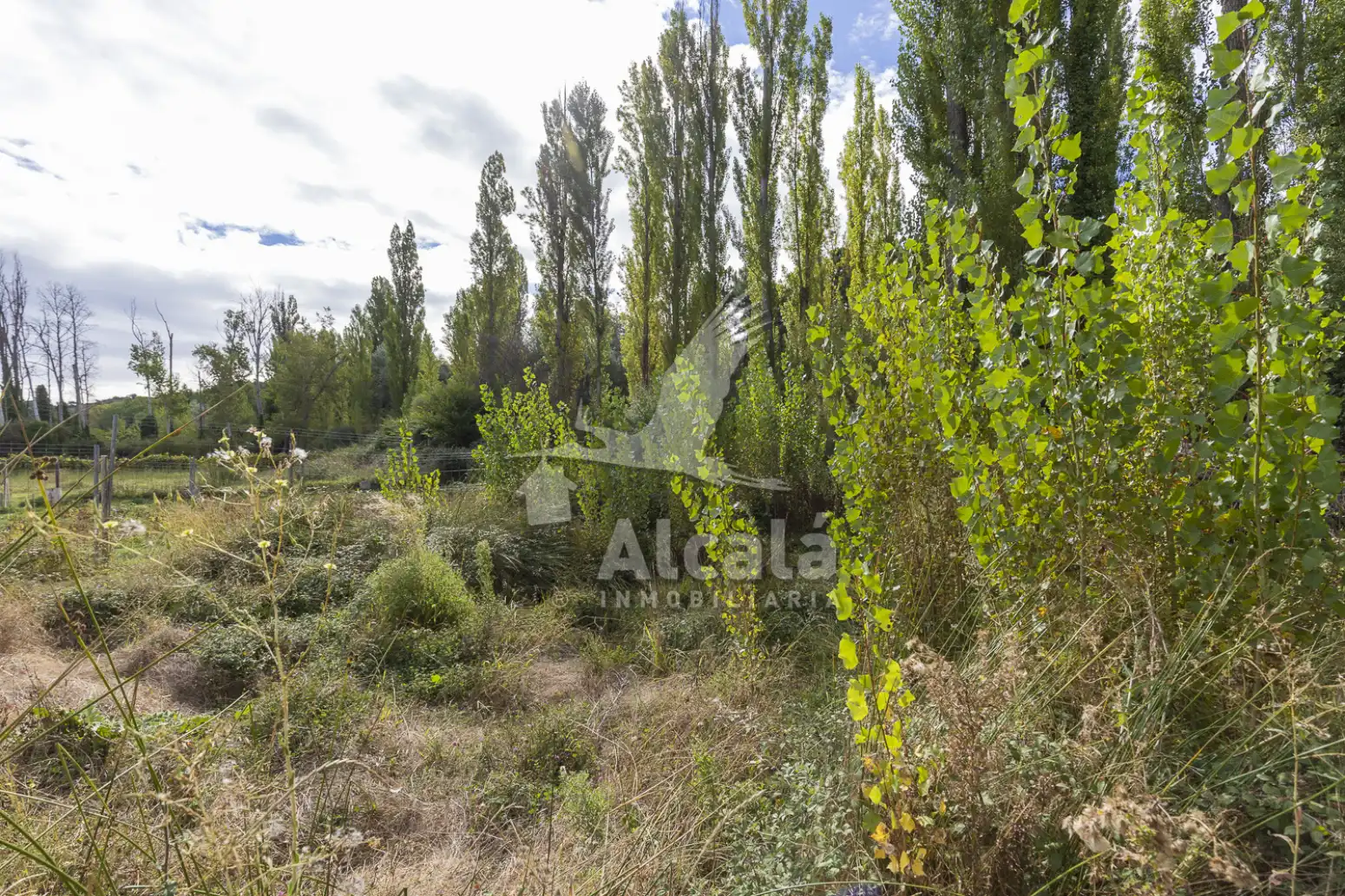 Terreno en venta en Hueva