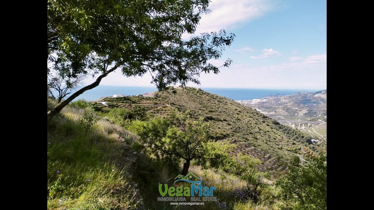 Finca rústica en venda en Almuñécar amb Terrassa i Piscina