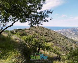 Finca rústica en venda en Almuñécar amb Terrassa i Piscina