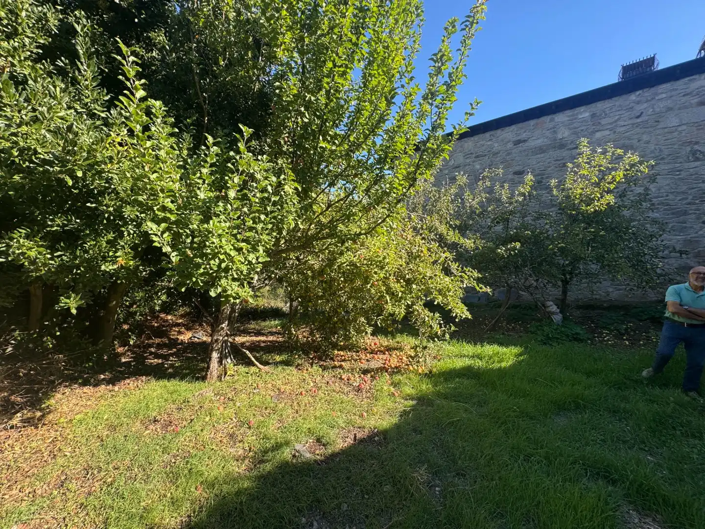 Casa o xalet en venda en Lubián, Zamora