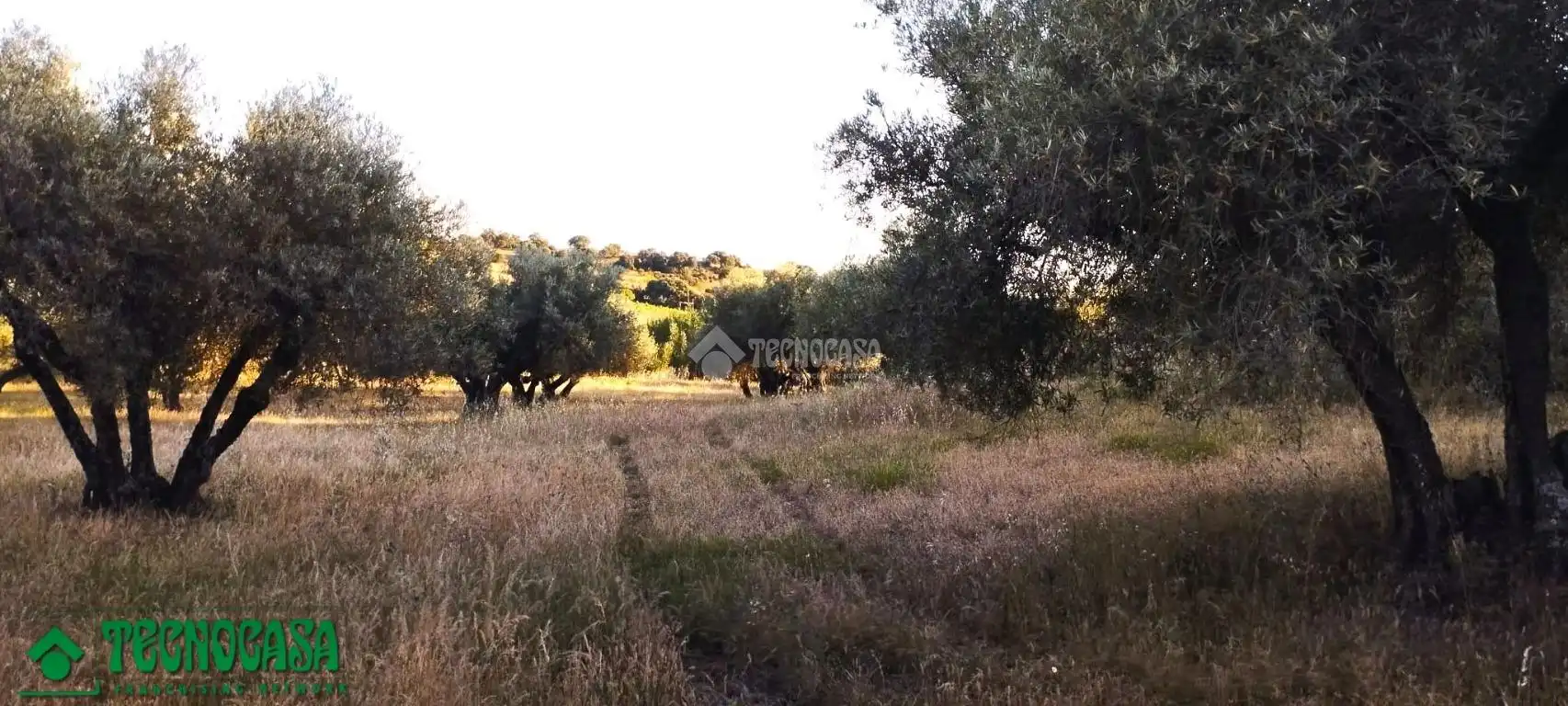 Terreni e lotti in vendita a Méntrida, imagen 25
