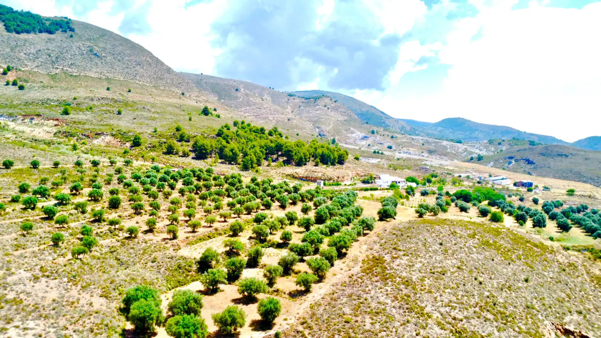Houses for sale in Laujar de Andarax  with Air Conditioner, Private garden and Terrace
