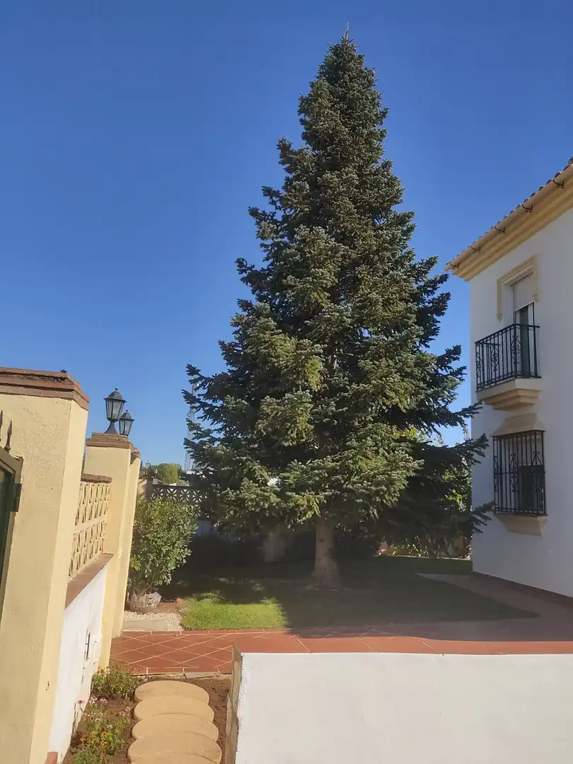 Jardín de Casa o chalet de alquiler en Ronda con Aire acondicionado, Calefacción y Jardín privado