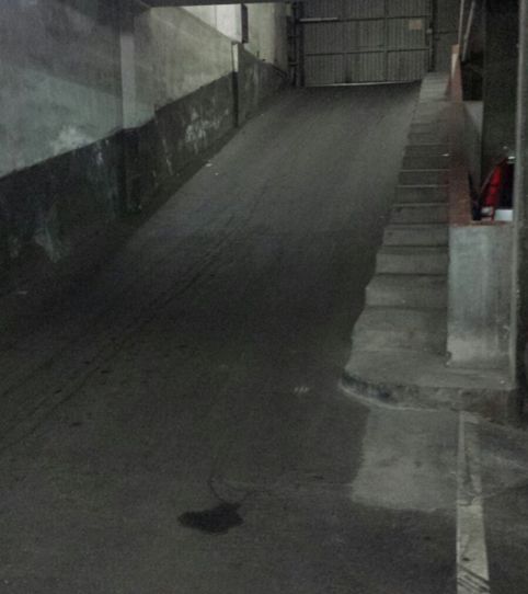 Foto 2 de Garaje en venta en Carrer de Sepúlveda, 104, Sant Antoni, Barcelona Capital