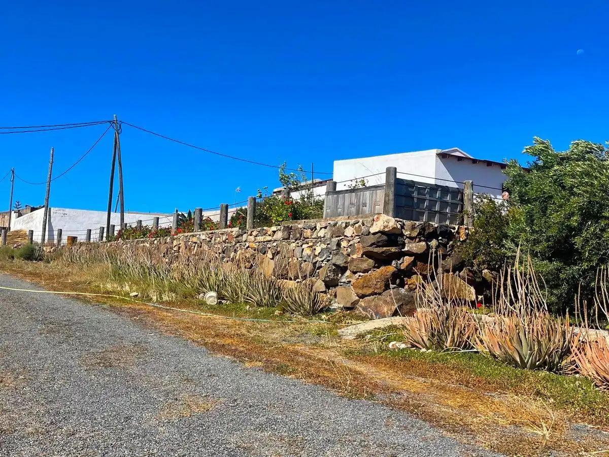 Exterior view of Land for sale in Ingenio