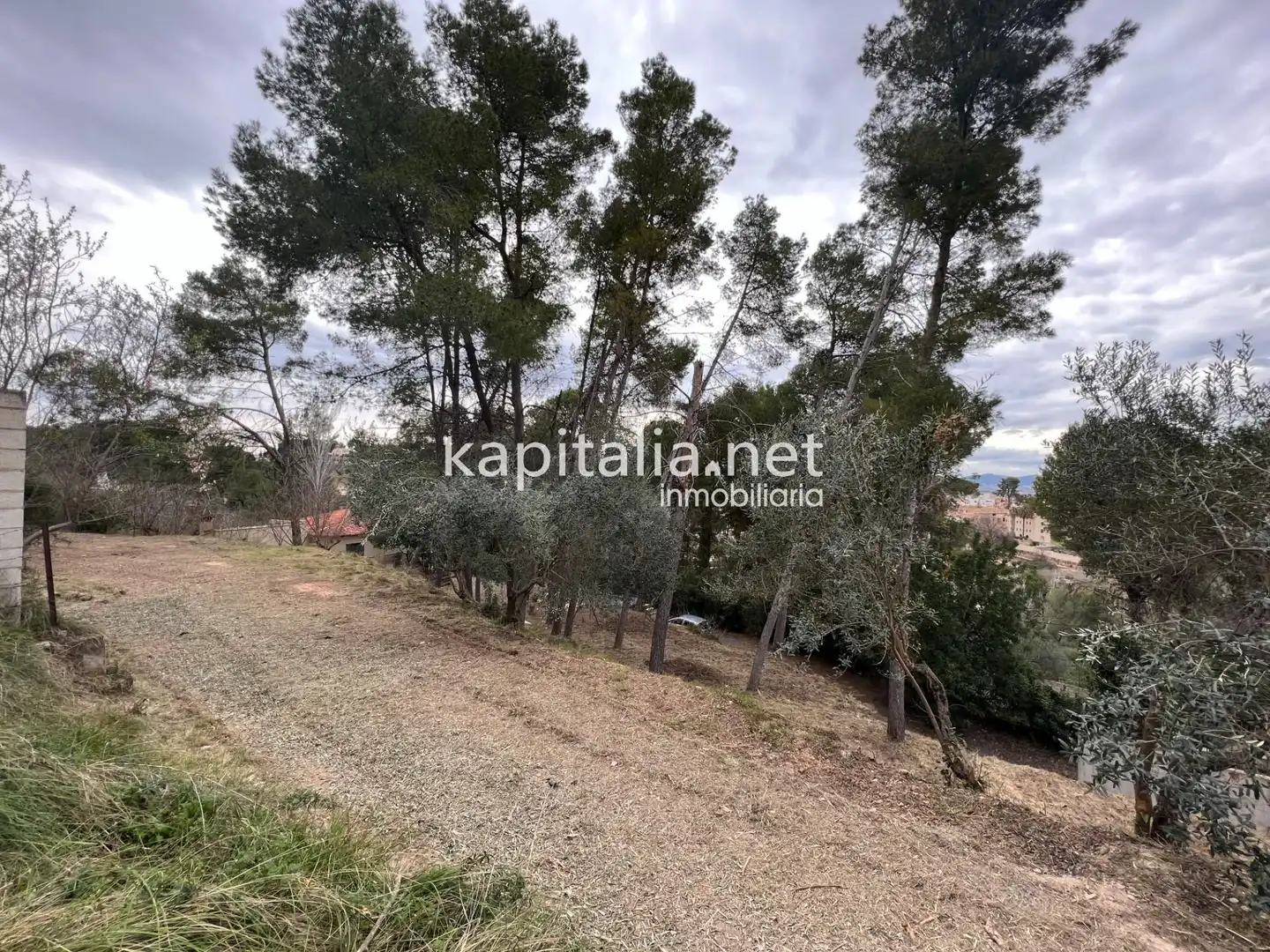 Terreni e lotti in vendita a Agullent, imagen 3