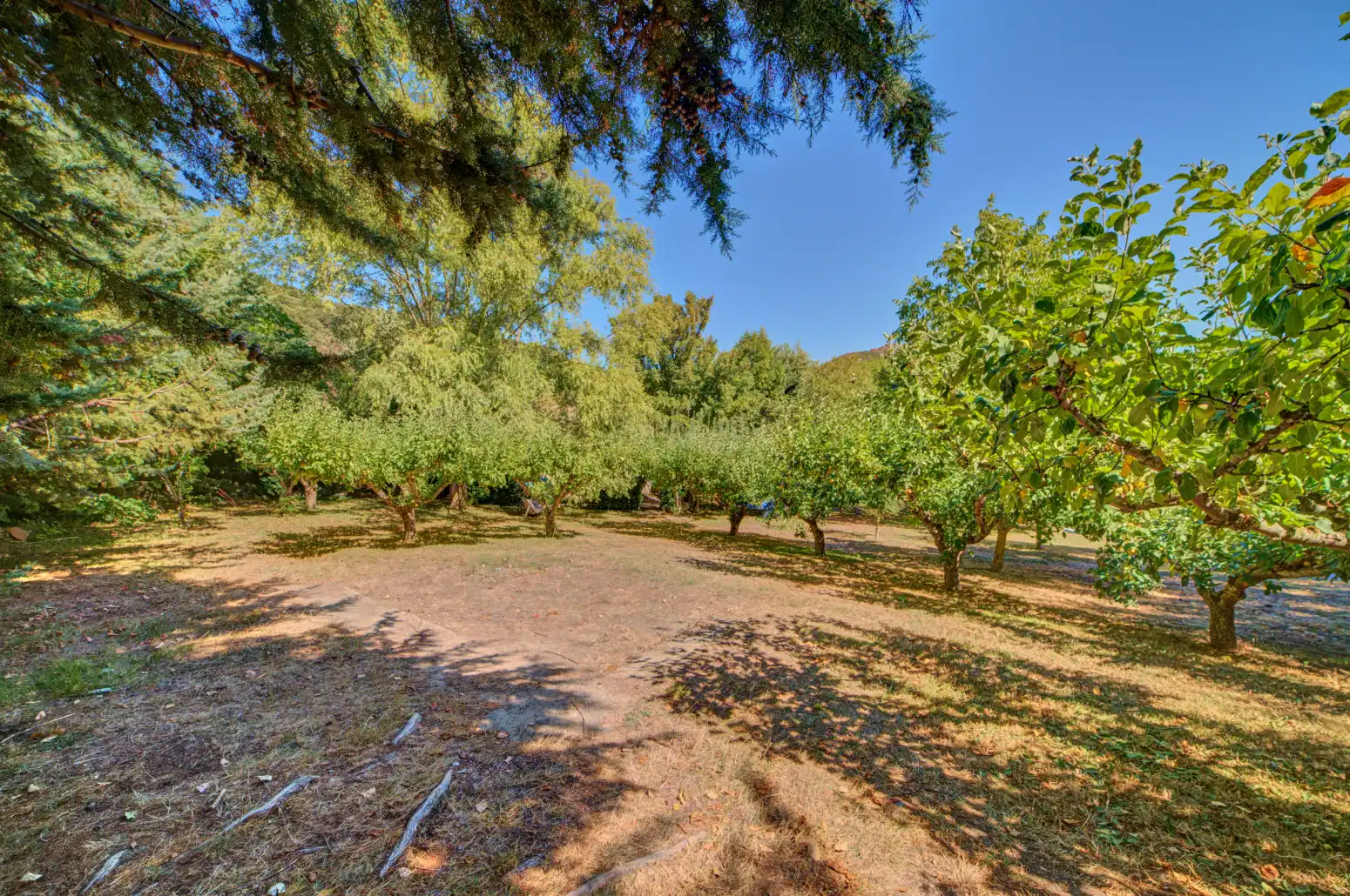 Land for sale in Salinas de Oro / Jaitz