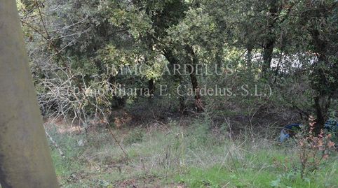 Terreno zona tranquila, imatge 2