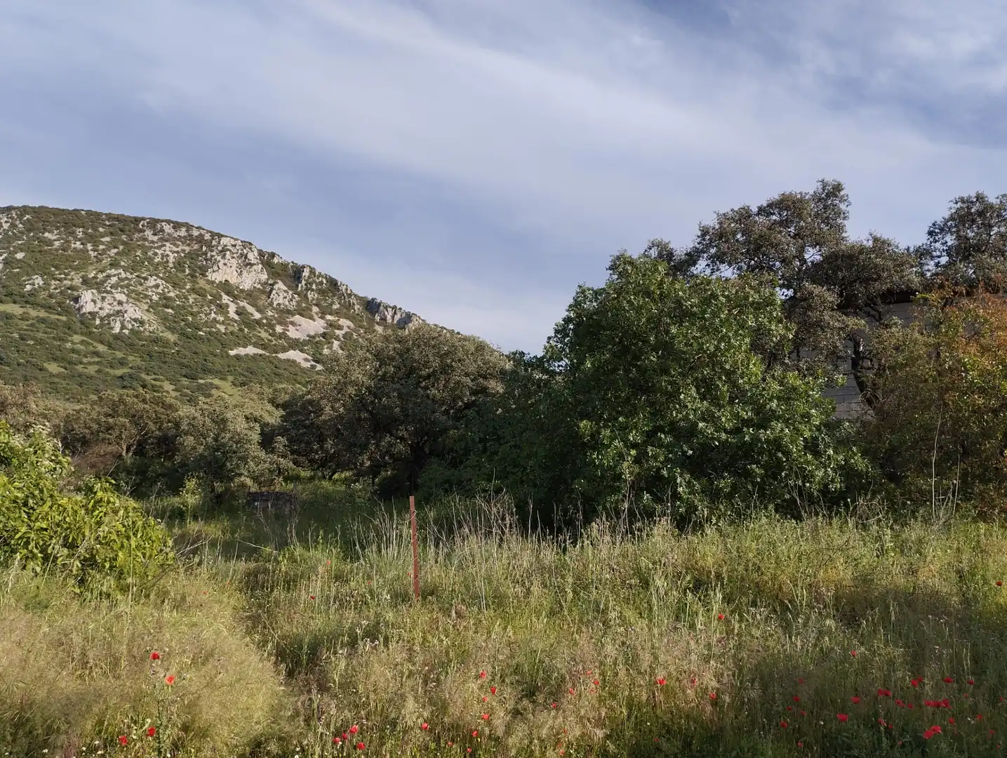 Terreno rustico in vendita a Calle Doña Mencía, imagen 3