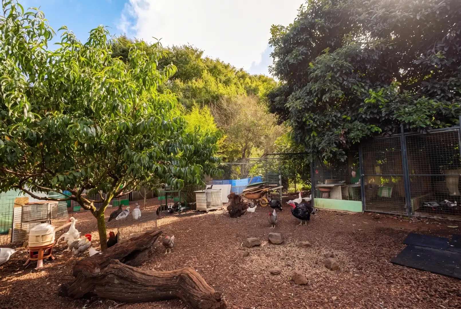 Jardí de Casa o xalet en venda en Guamasa - El Ortigal - Los Rodeos