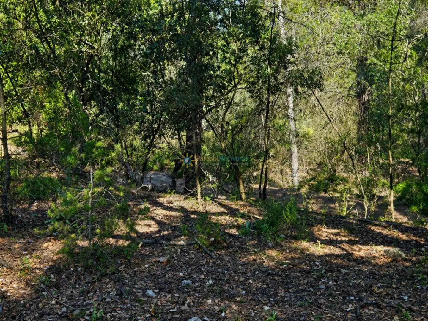 Terreno en venta en Bellús