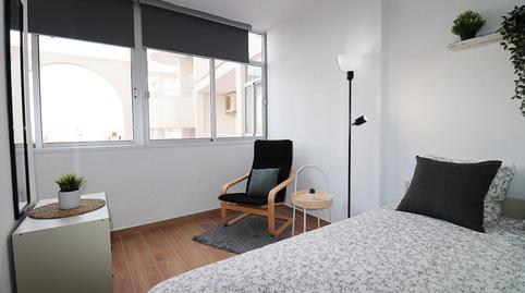 Photo 5 of Apartments for rent in Avenida Alfredo Nobel, 219, Cabo Cervera, Torrevieja