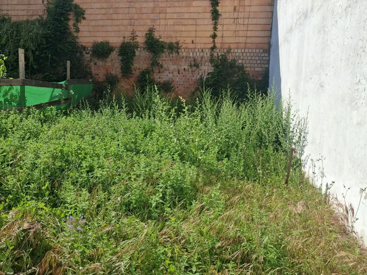 Grundstücke und Bauplätze zum Verkauf in Aracena, imagen 5