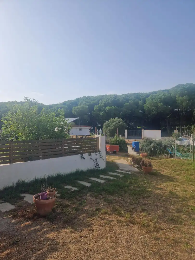 Garden of Country homes for sale in Puerto Real  with Private garden and Swimming Pool