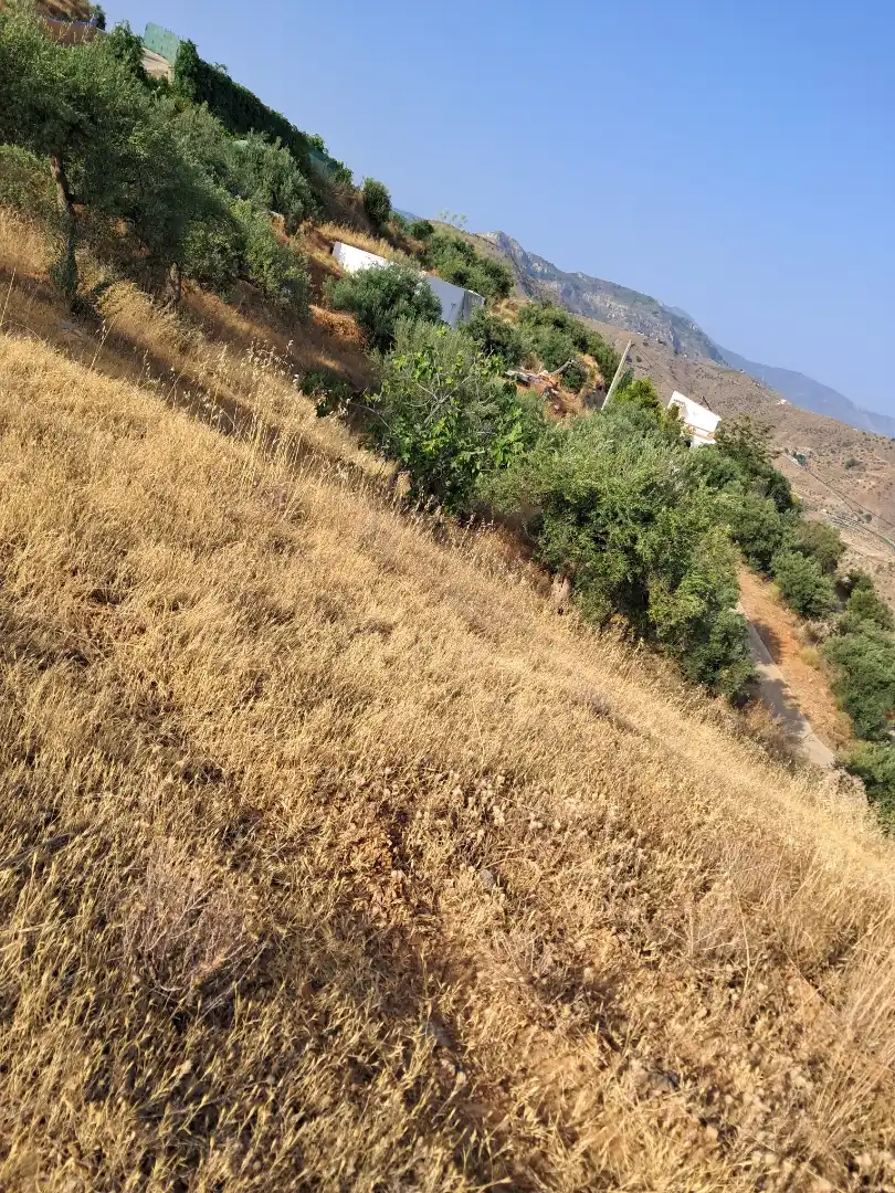 Terreno en venta en Almuñécar