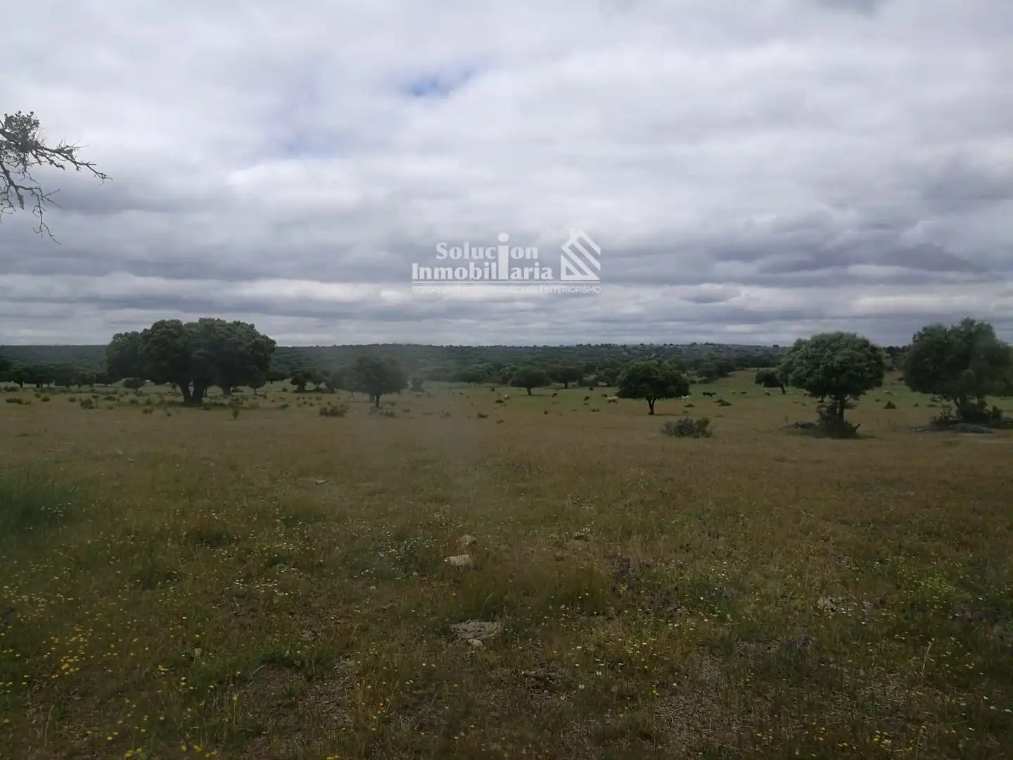 Terreno en venta en Salamanca
