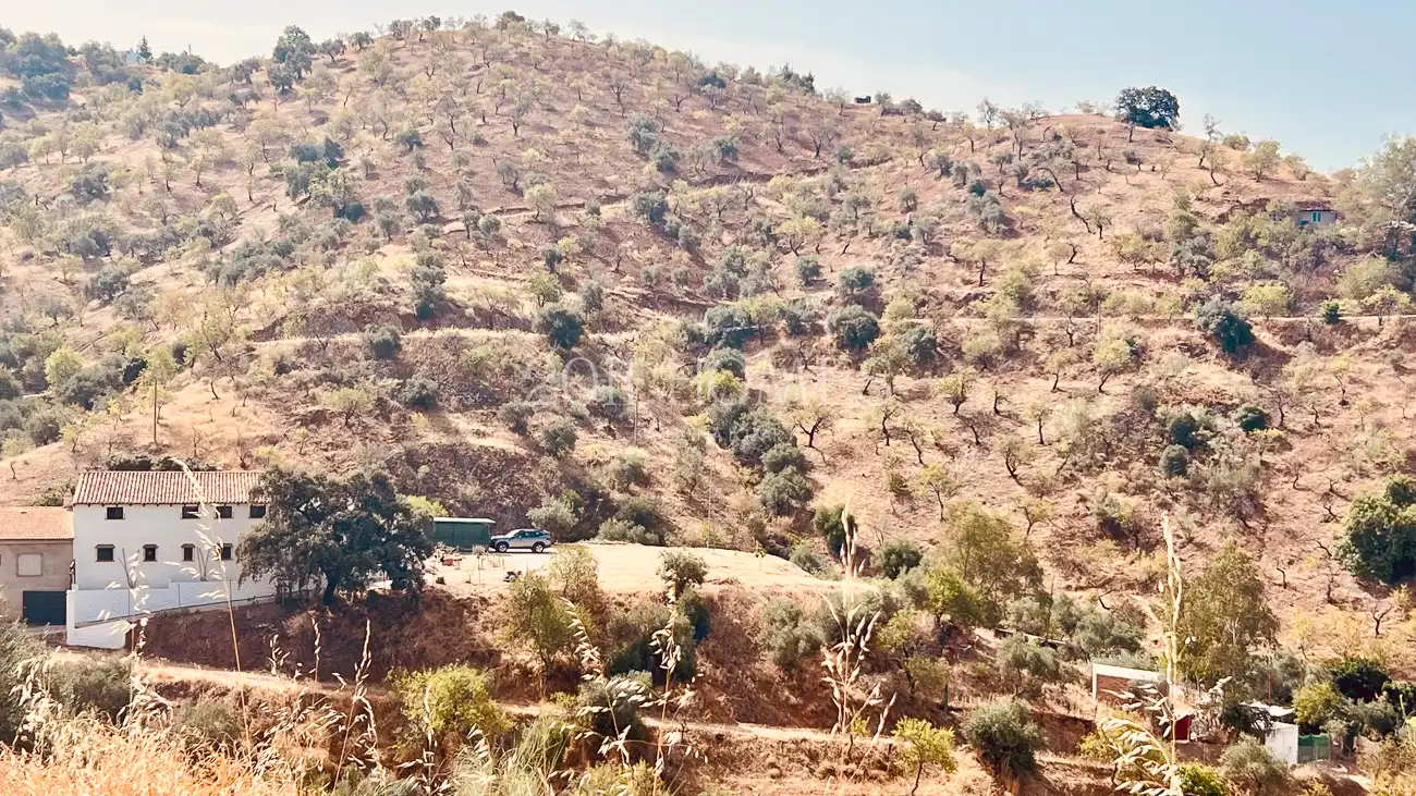 Finca rústica en venda en Almogía amb Jardí privat, Terrassa i Piscina