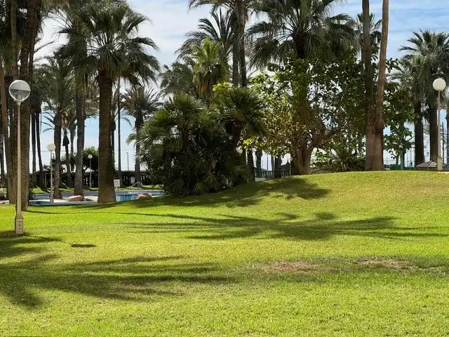 Garden of Flat for sale in El Campello  with Air Conditioner, Heating and Terrace