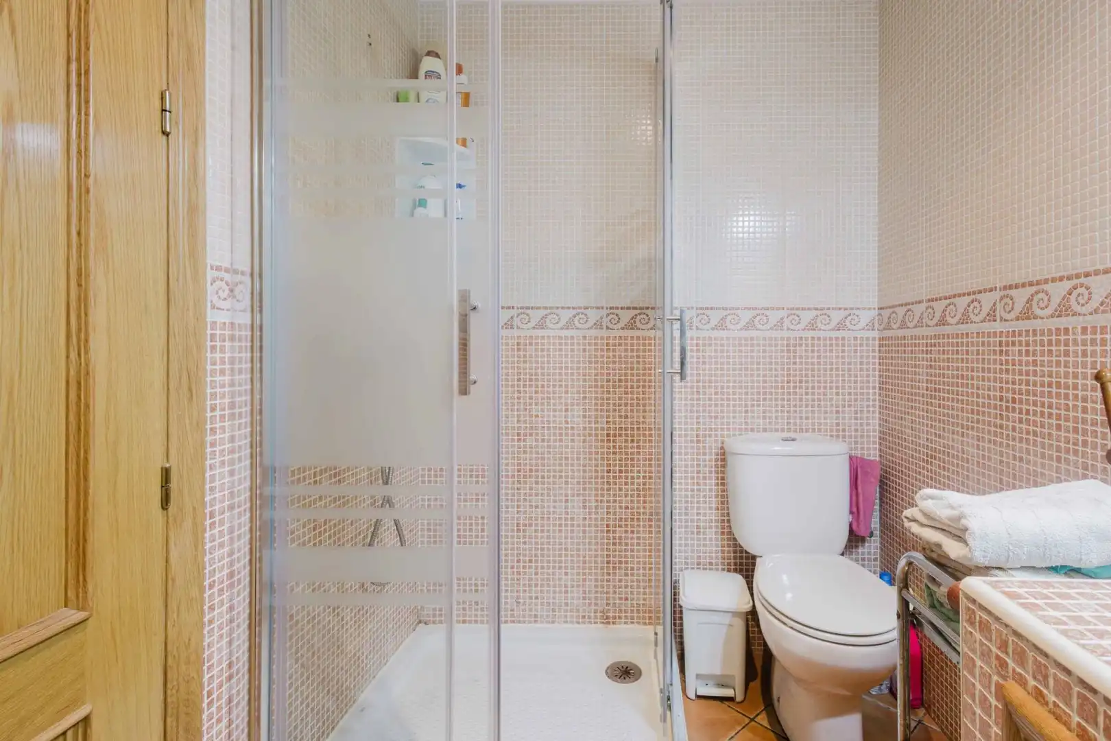 Baño de Apartamento en venta en Torrevieja con Jardín privado