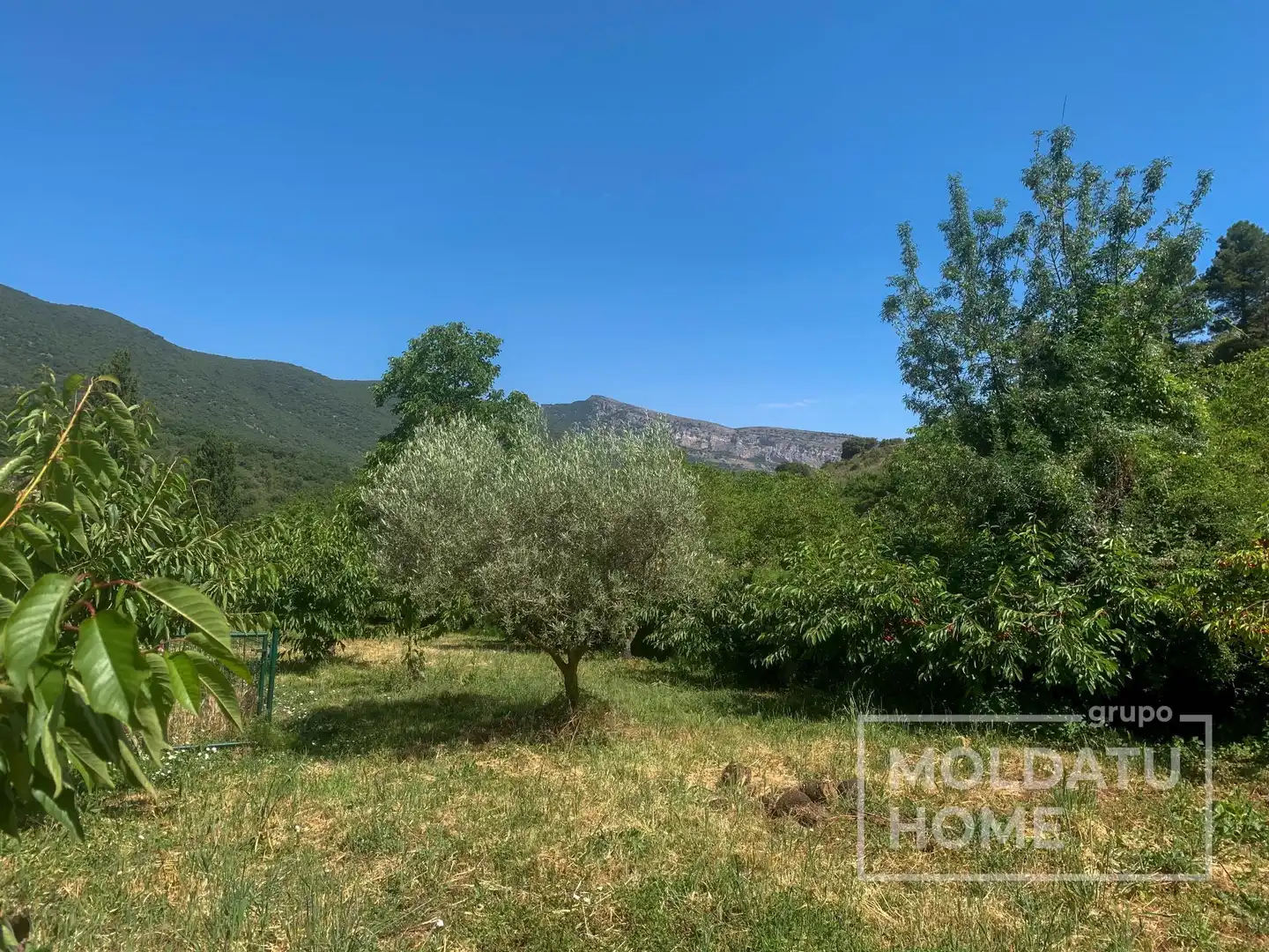 Terreno en venta en Belascoáin