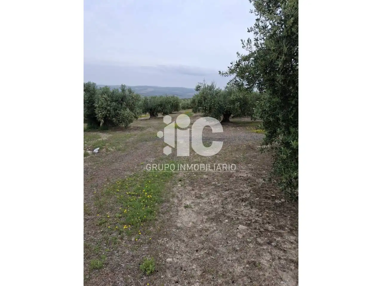 Terrain rustique à vendre à Calle SANTISIMO, imagen 2