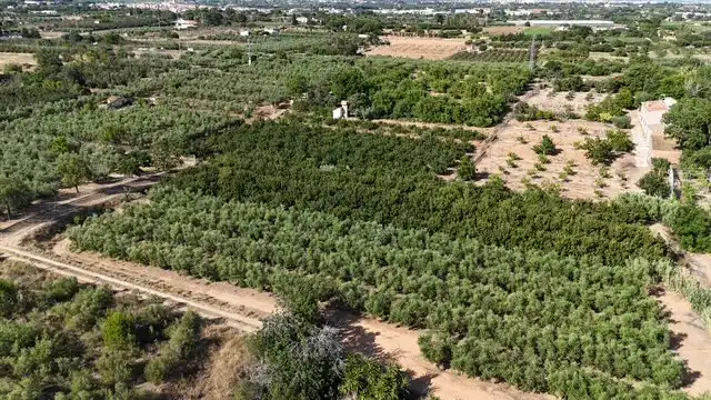Terrenys i solars en venda a DEL REMEI (BURGA P18 Pc8)