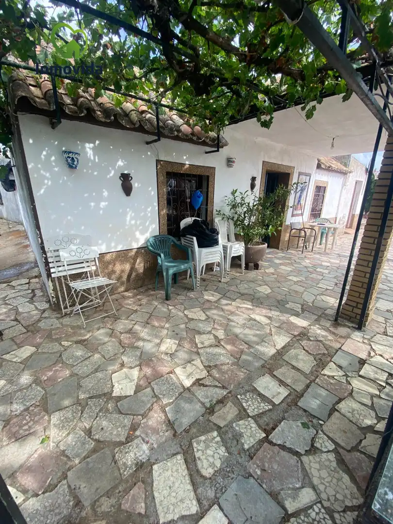 Houses for sale in La Carlota