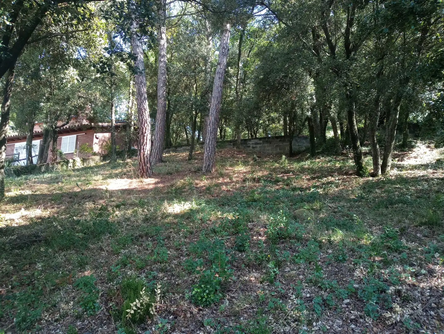 Terreno residencial en venta en Carrer de la Morera, imagen 16