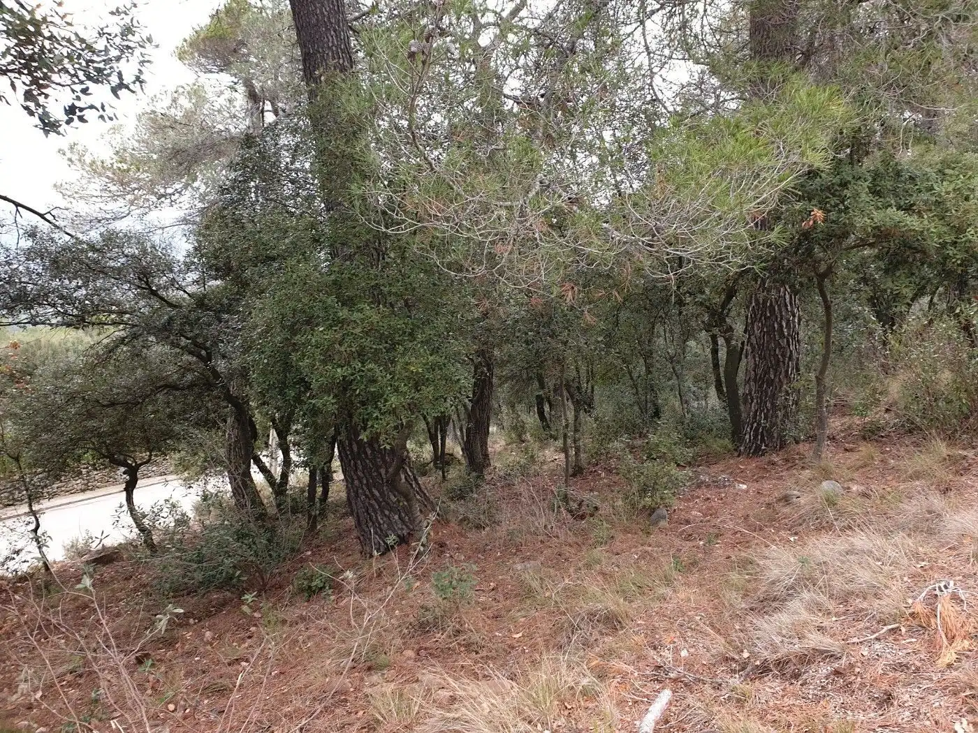 Terrain résidentiel à vendre à Matadepera, imagen 13