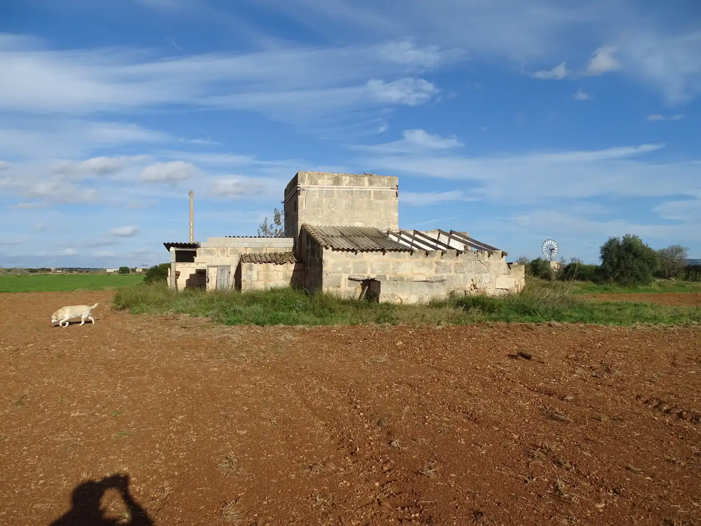 Terreno rustico in vendita a Santanyí Poble, imagen 4