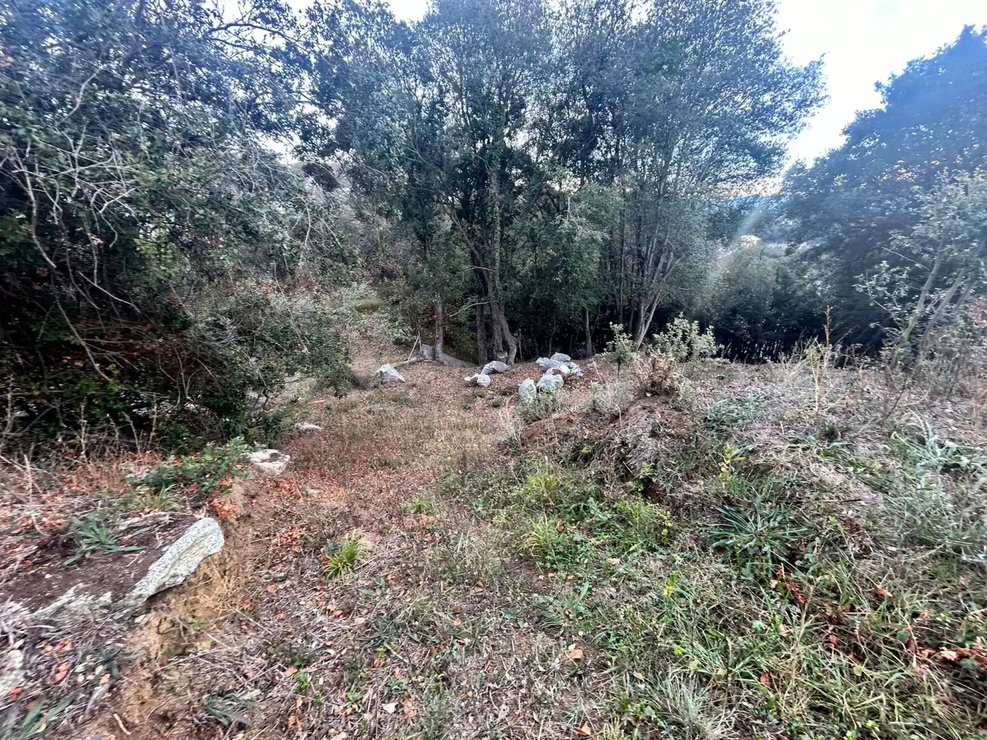 Terrain rustique à vendre à Dosrius - CL CAN DOMINGO, imagen 24