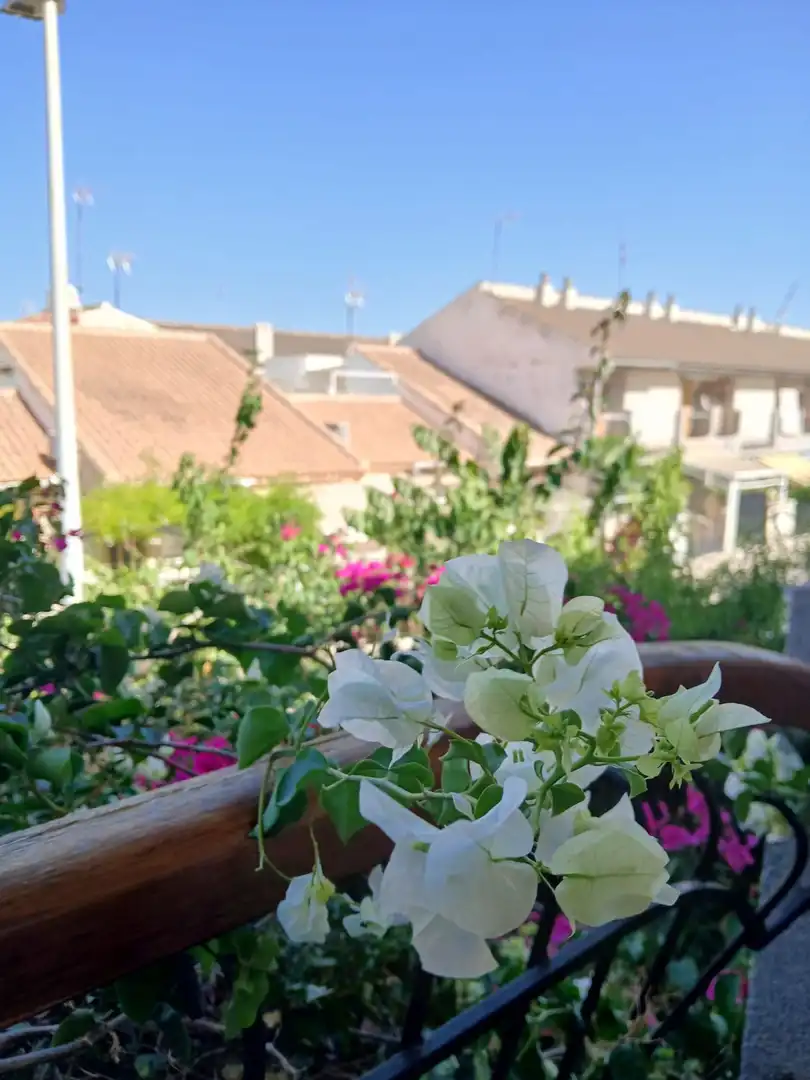 Xalet amb jardí en venda a Los Cuarteros, imagen 36
