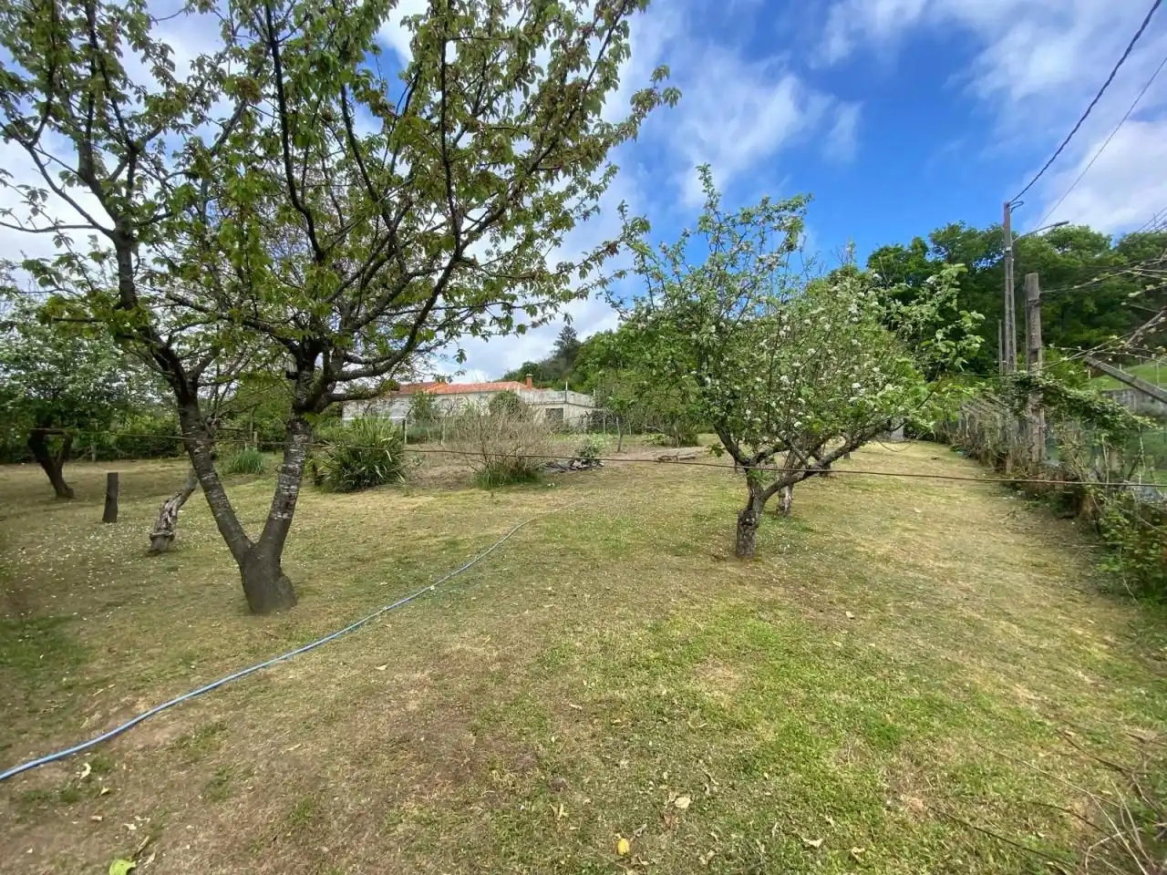 Casa o chalet en venta en Gomesende