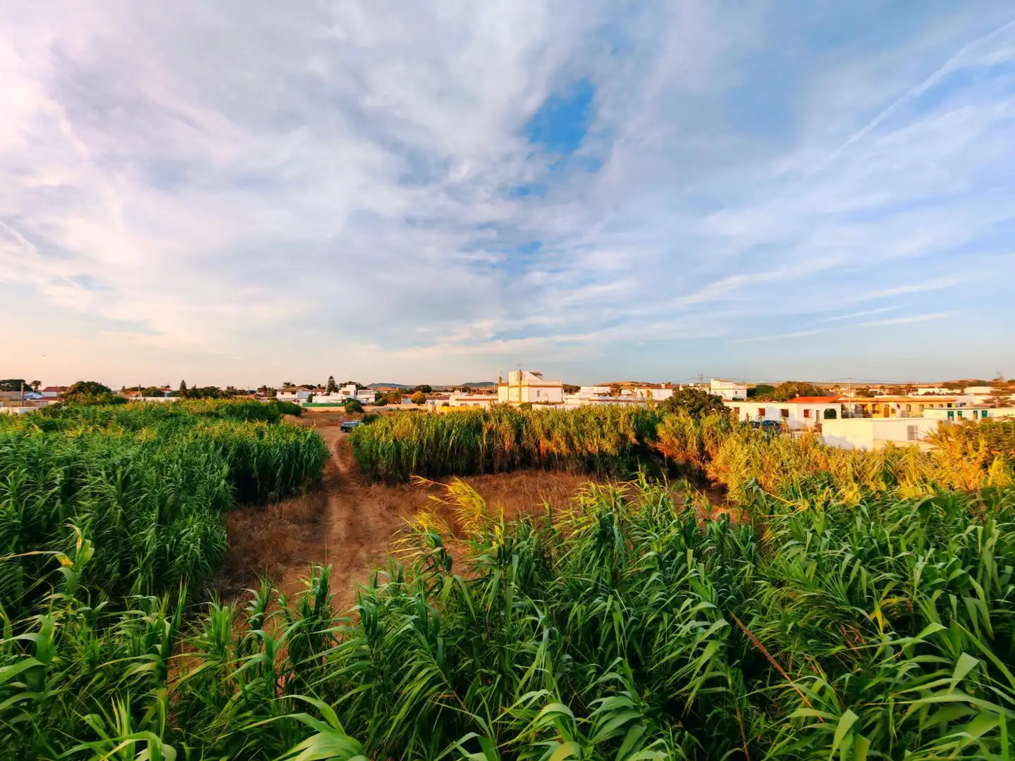 Houses for sale in Vejer de la Frontera  with Air Conditioner, Terrace and Furnished