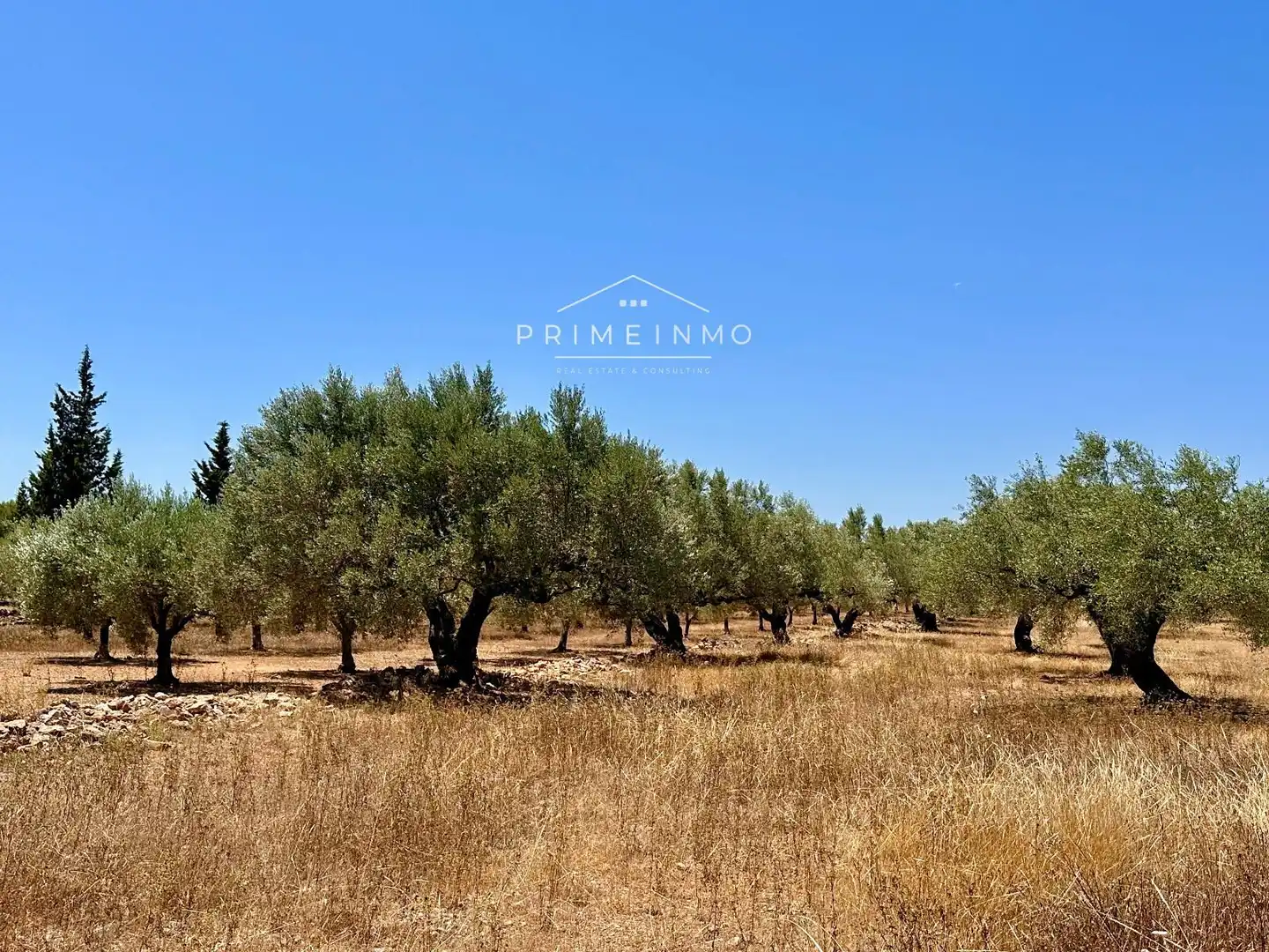 Finca rústica en venta en L'Ametlla de Mar  con Trastero